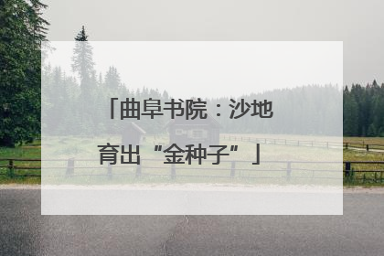 曲阜书院：沙地育出“金种子”