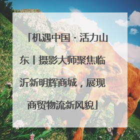 机遇中国・活力山东丨摄影大师聚焦临沂新明辉商城，展现商贸物流新风貌