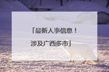 最新人事信息！涉及广西多市
