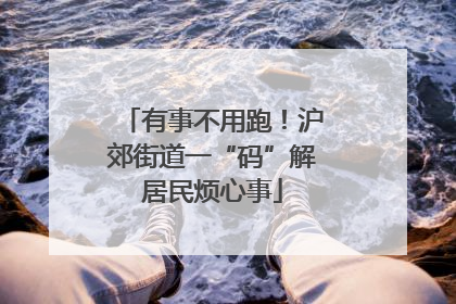 有事不用跑！沪郊街道一“码”解居民烦心事