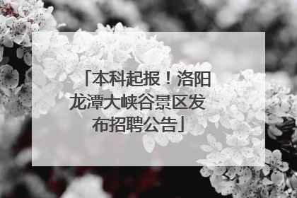 本科起报！洛阳龙潭大峡谷景区发布招聘公告