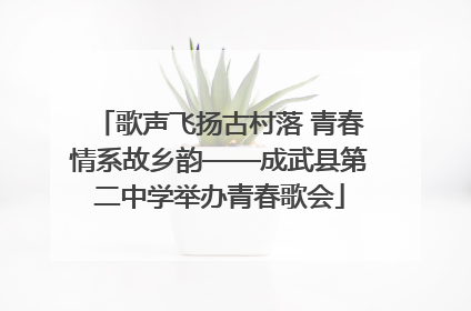 歌声飞扬古村落 青春情系故乡韵——成武县第二中学举办青春歌会