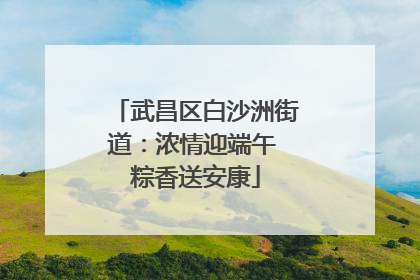 武昌区白沙洲街道：浓情迎端午 粽香送安康
