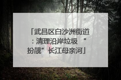 武昌区白沙洲街道：清理沿岸垃圾 “扮靓”长江母亲河