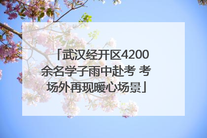 武汉经开区4200余名学子雨中赴考 考场外再现暖心场景