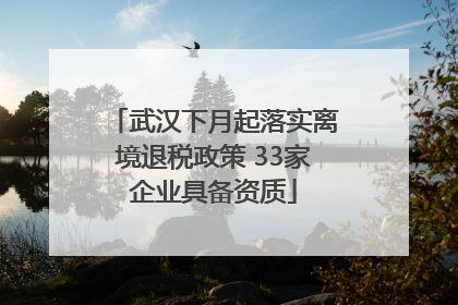 武汉下月起落实离境退税政策 33家企业具备资质