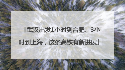 武汉出发1小时到合肥、3小时到上海，这条高铁有新进展