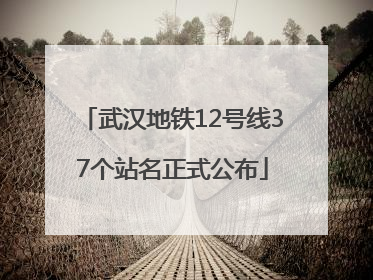 武汉地铁12号线37个站名正式公布