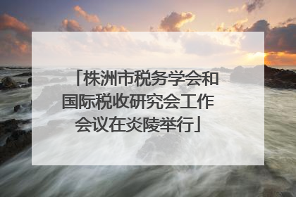 株洲市税务学会和国际税收研究会工作会议在炎陵举行