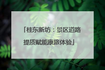 桂东新坊：景区道路提质赋能康旅体验
