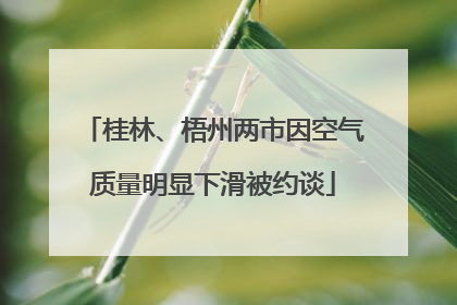 桂林、梧州两市因空气质量明显下滑被约谈