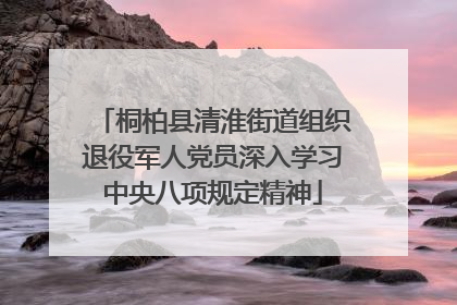 桐柏县清淮街道组织退役军人党员深入学习中央八项规定精神