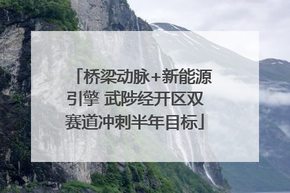 桥梁动脉+新能源引擎 武陟经开区双赛道冲刺半年目标