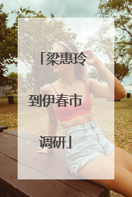 梁惠玲到伊春市调研
