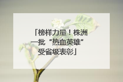 榜样力量！株洲一批“热血英雄”受省级表彰