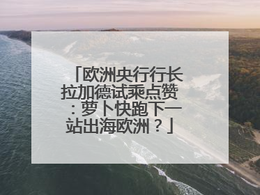欧洲央行行长拉加德试乘点赞：萝卜快跑下一站出海欧洲？
