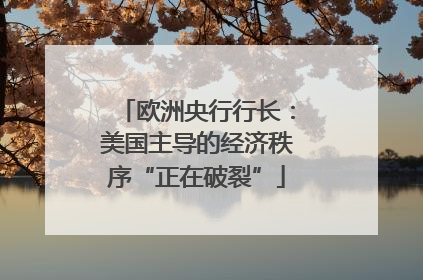 欧洲央行行长：美国主导的经济秩序“正在破裂”