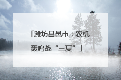 潍坊昌邑市：农机轰鸣战“三夏”