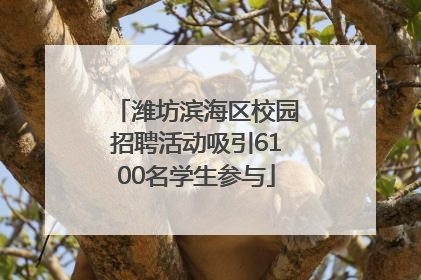 潍坊滨海区校园招聘活动吸引6100名学生参与