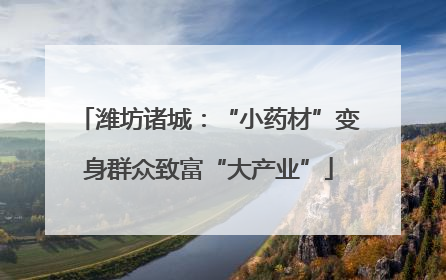潍坊诸城：“小药材”变身群众致富“大产业”