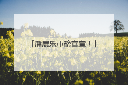 潘展乐重磅官宣！