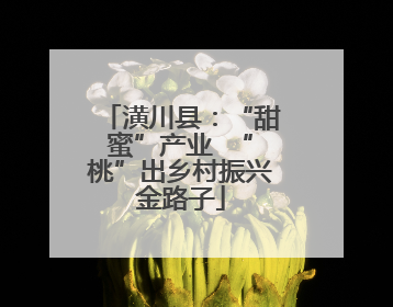 潢川县：“甜蜜”产业  “桃”出乡村振兴金路子