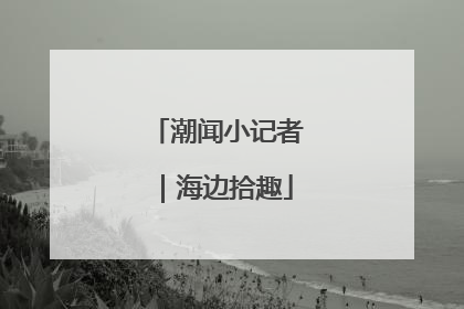潮闻小记者｜海边拾趣