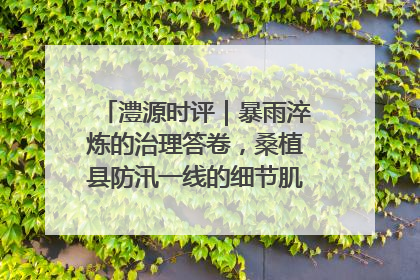 澧源时评｜暴雨淬炼的治理答卷，桑植县防汛一线的细节肌理与体系力量