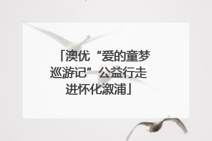 澳优“爱的童梦巡游记”公益行走进怀化溆浦