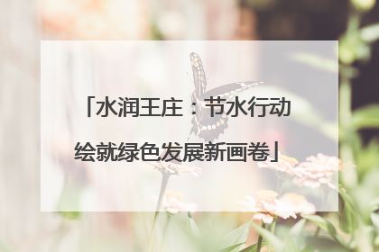 水润王庄：节水行动绘就绿色发展新画卷