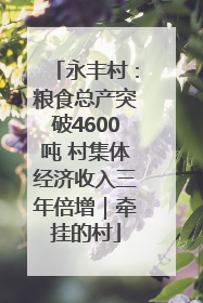 永丰村：粮食总产突破4600吨 村集体经济收入三年倍增｜牵挂的村