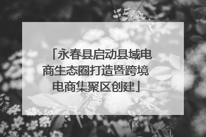 永春县启动县域电商生态圈打造暨跨境电商集聚区创建