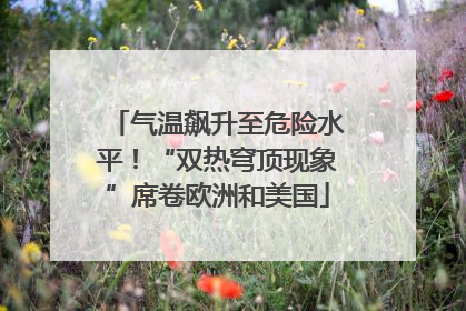 气温飙升至危险水平！“双热穹顶现象”席卷欧洲和美国