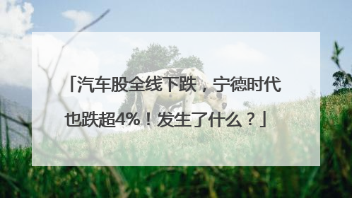 汽车股全线下跌，宁德时代也跌超4%！发生了什么？