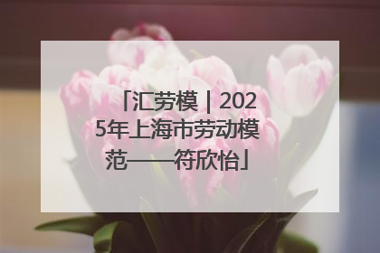 汇劳模｜2025年上海市劳动模范——符欣怡