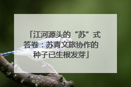 江河源头的“苏”式答卷：苏青文旅协作的种子已生根发芽