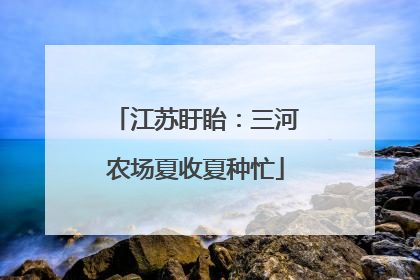 江苏盱眙：三河农场夏收夏种忙