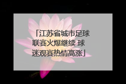 江苏省城市足球联赛火爆继续 球迷观赛热情高涨
