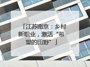 江苏南京：乡村新职业，激活“希望的田野”