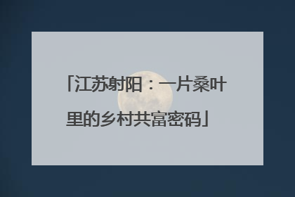 江苏射阳：一片桑叶里的乡村共富密码