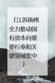 江苏扬州全力推动国有资本向重要行业和关键领域集中