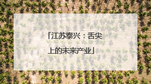 江苏泰兴：舌尖上的未来产业