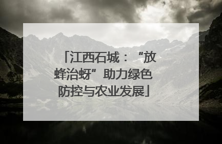 江西石城：“放蜂治蚜”助力绿色防控与农业发展