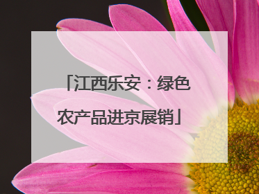 江西乐安：绿色农产品进京展销