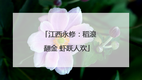 江西永修：稻浪翻金 虾跃人欢
