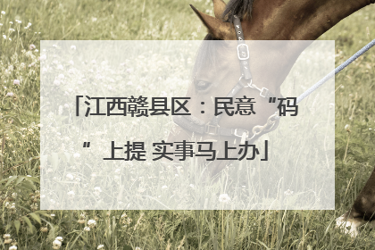 江西赣县区：民意“码”上提 实事马上办