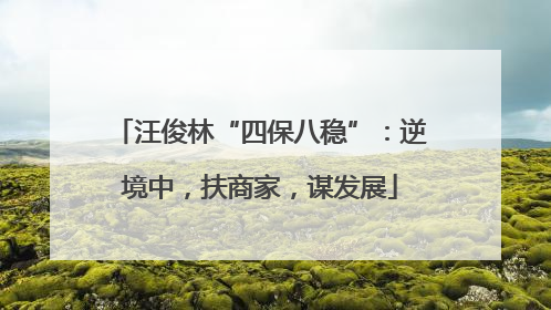 汪俊林“四保八稳”：逆境中，扶商家，谋发展