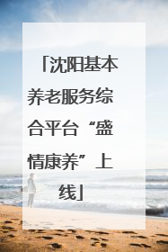 沈阳基本养老服务综合平台“盛情康养”上线