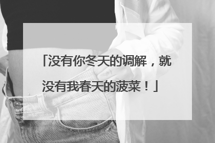 没有你冬天的调解，就没有我春天的菠菜！