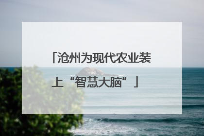沧州为现代农业装上“智慧大脑”
